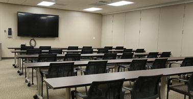 birch room